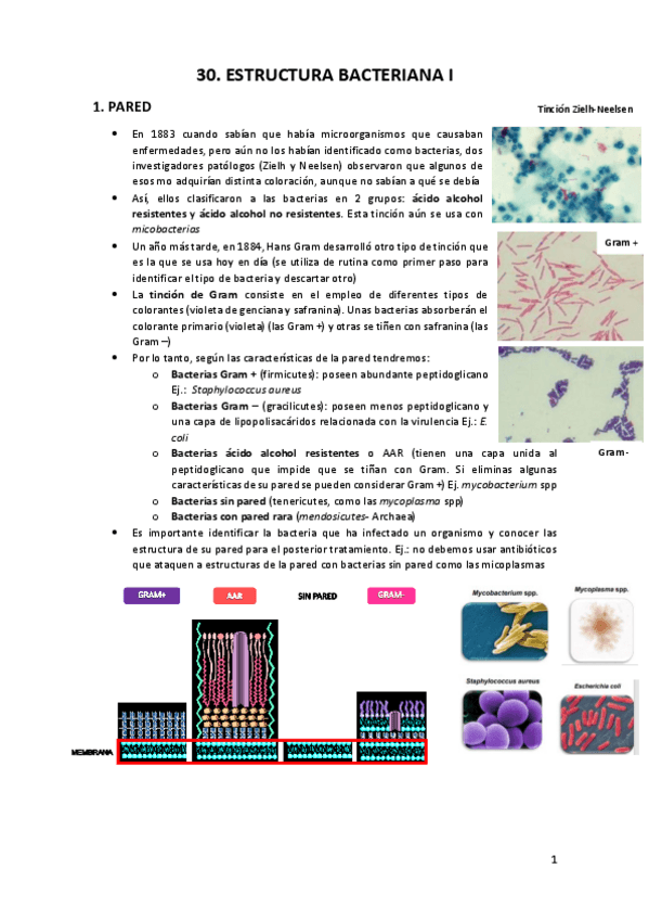 Miniatura del documento 30.pdf