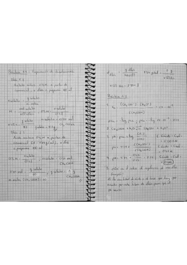 Miniatura del documento Cuaderno-de-Laboratorio-Quimica.pdf