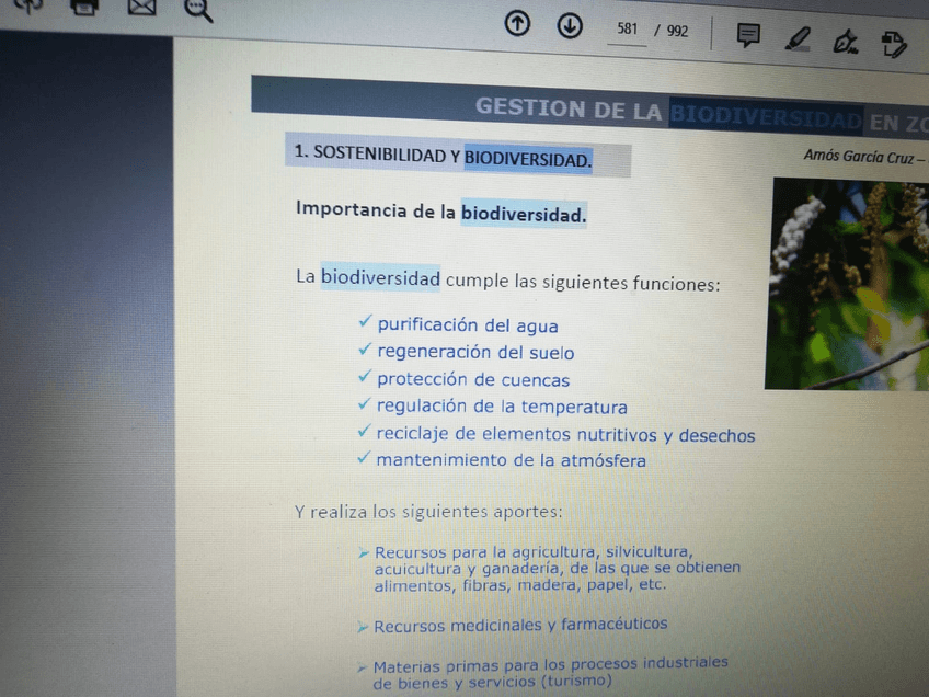 Miniatura del documento WhatsApp-Image-2021-05-15-at-19.jpg