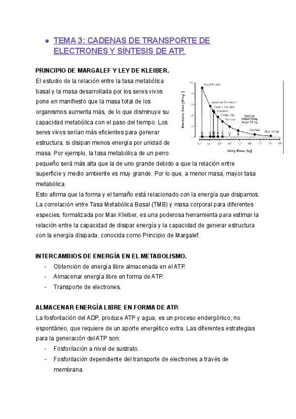 Miniatura del documento TEMA-3-BQ-II.pdf
