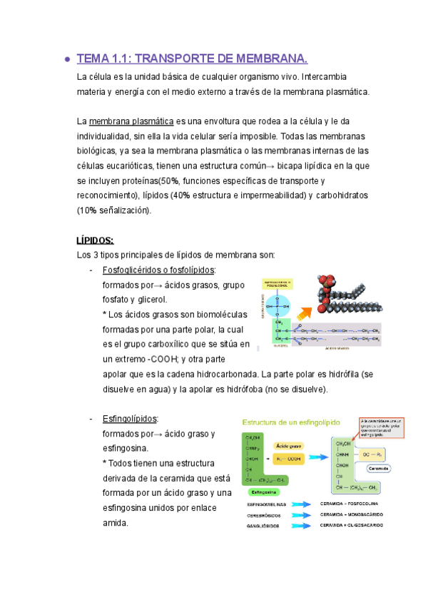 Miniatura del documento tema-1-bq-ll.pdf