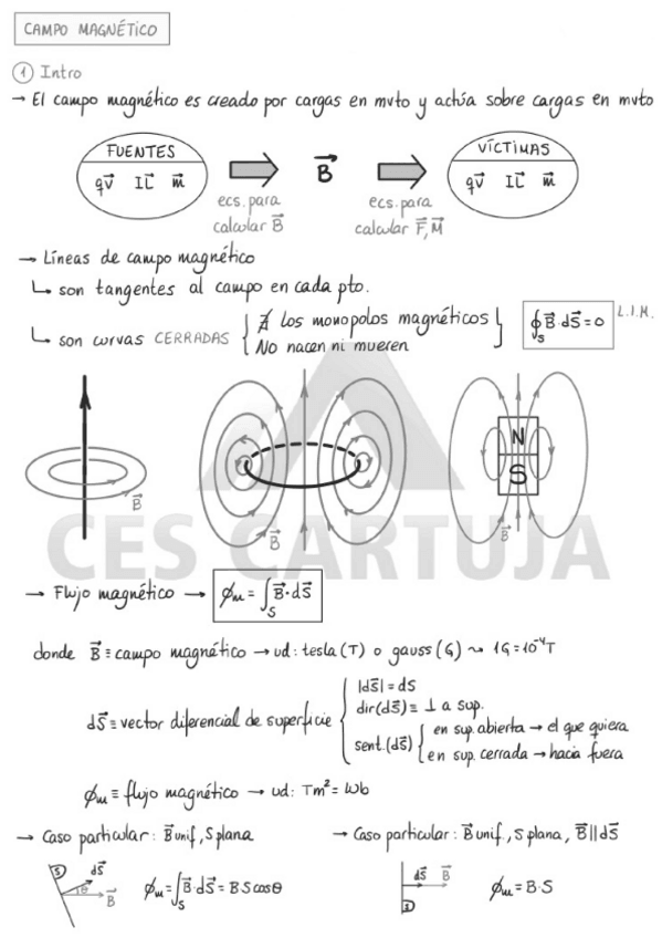 Miniatura del documento Tema-5-Campo-magnetico.pdf