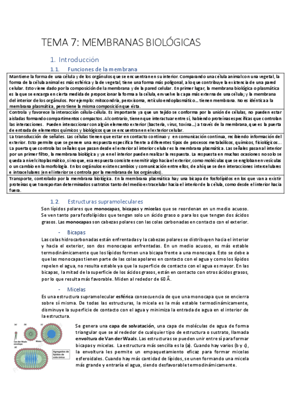 Miniatura del documento biomoltema7.pdf