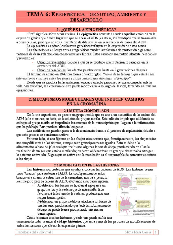 Miniatura del documento TEMA-6.pdf
