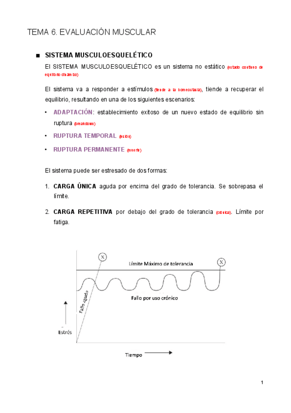 Miniatura del documento Tema-6.pdf