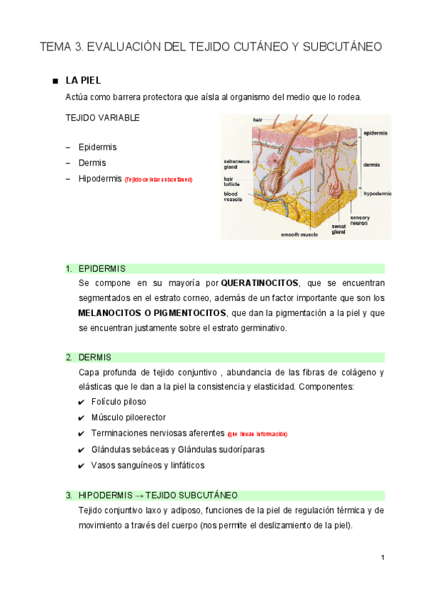 Miniatura del documento Tema-3.pdf