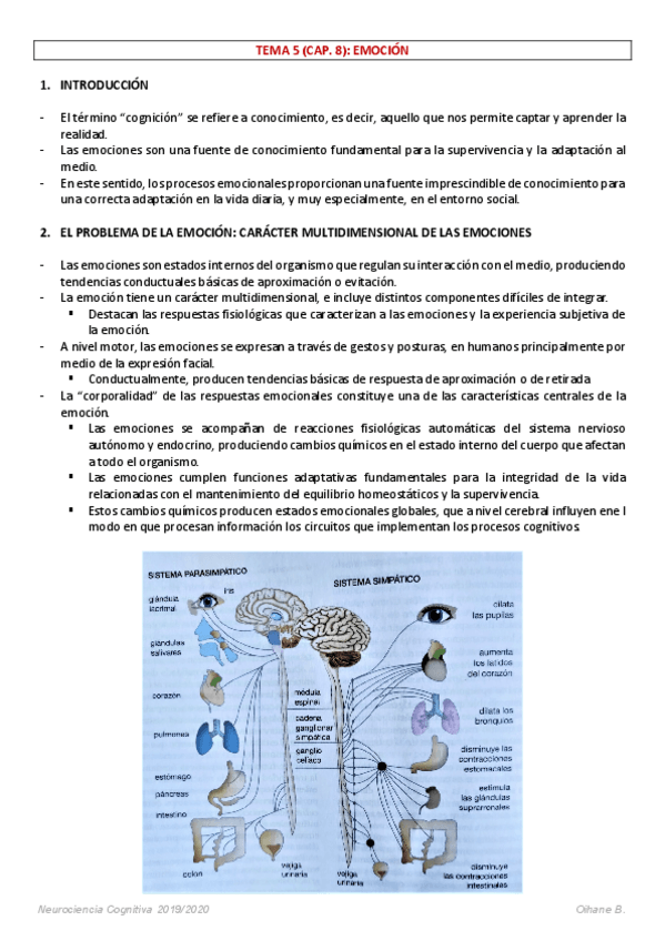 Miniatura del documento APUNTES-NEUROCIENCIA-COGNITIVA-5.pdf