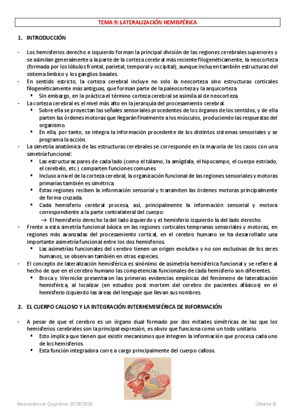Miniatura del documento APUNTES-NEUROCIENCIA-COGNITIVA-9.pdf