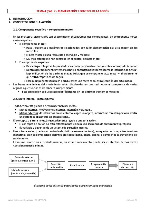 Miniatura del documento APUNTES-NEUROCIENCIA-COGNITIVA-4.pdf