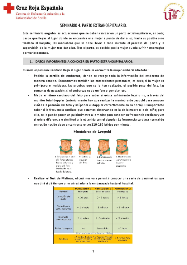 Miniatura del documento Seminario-4-Reproductiva.pdf