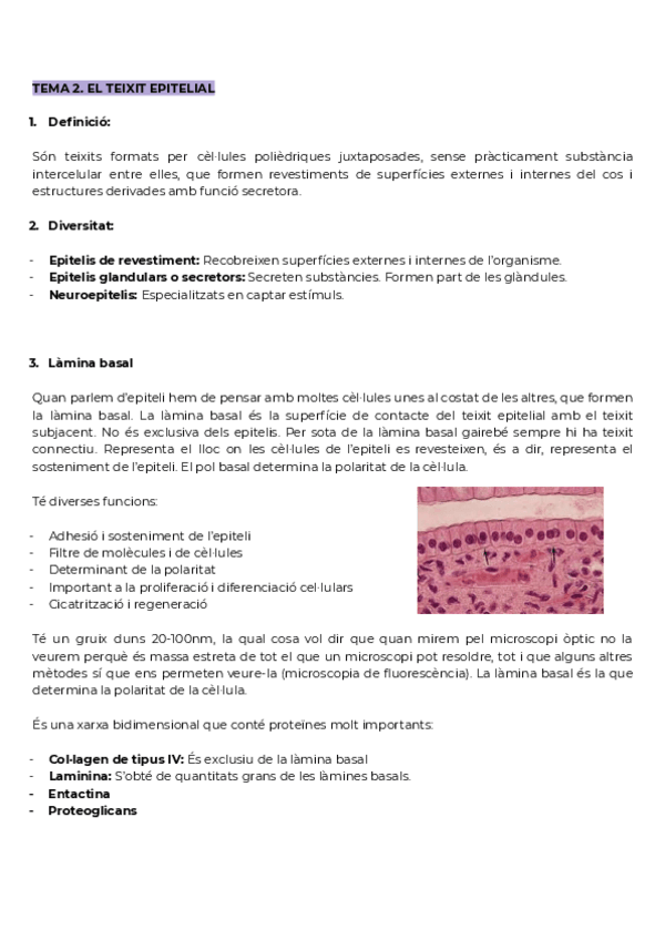 Miniatura del documento Tema-2.pdf