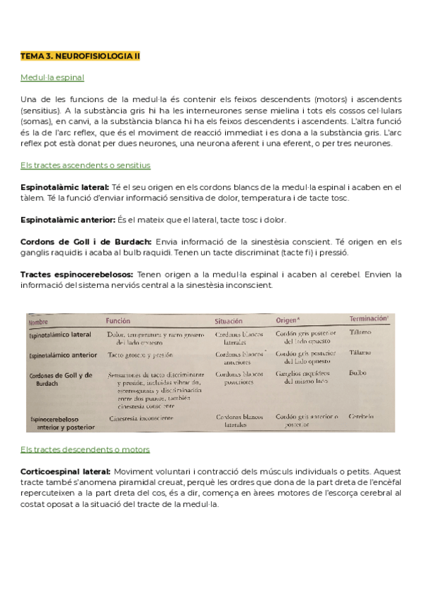 Miniatura del documento Tema-3.pdf