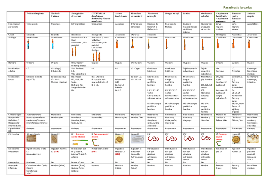 Miniatura del documento CUADRO-RESUMEN-NEMATODOS.pdf