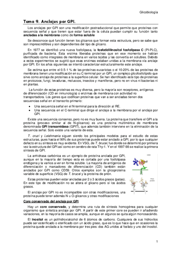 Miniatura del documento Tema-9.pdf