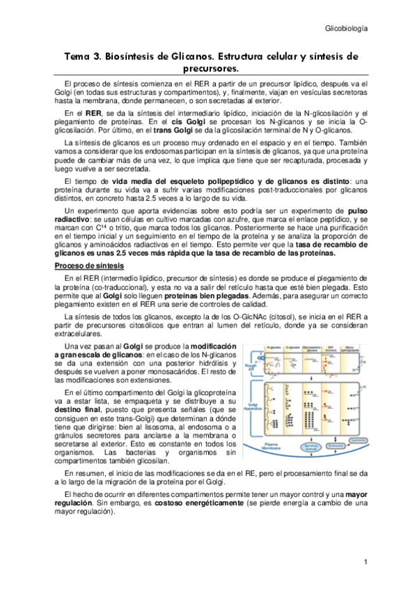 Miniatura del documento Tema-3.pdf