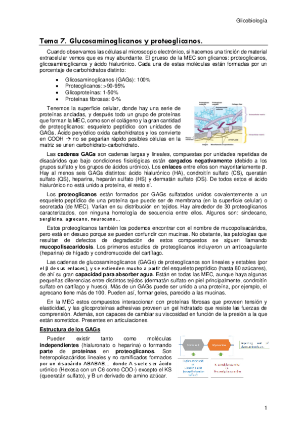 Miniatura del documento Tema-7.pdf