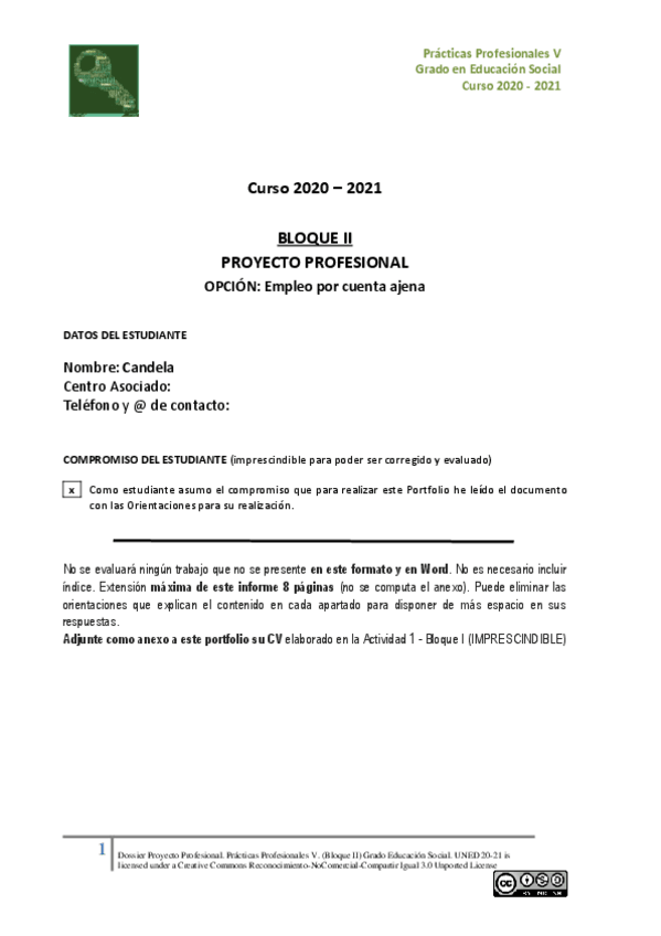 Miniatura del documento PortfolioProyectoProfesionalPPV202021CuentaajenaCandela.pdf