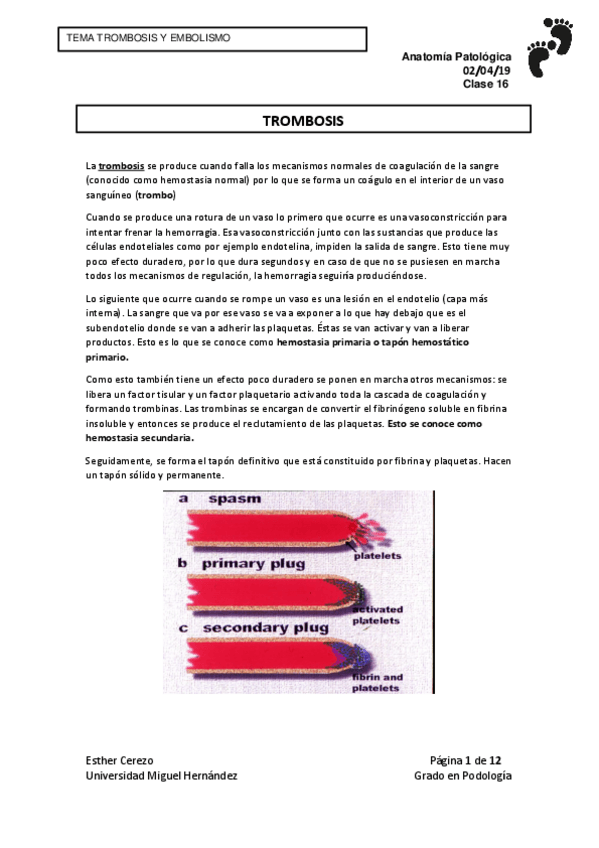 Miniatura del documento Clase-14.pdf