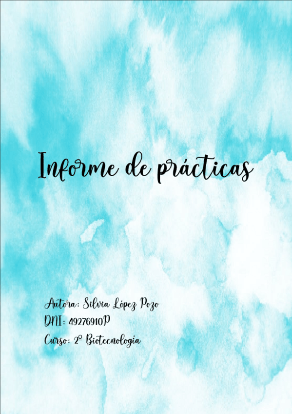 Miniatura del documento PRACTICA-1.pdf