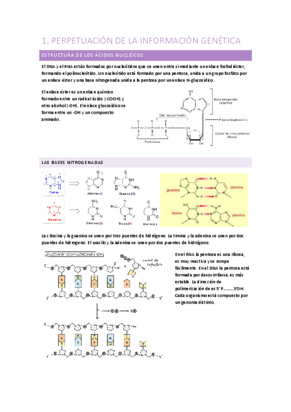 Miniatura del documento Biologia-1oCCAA-Tema-1.pdf