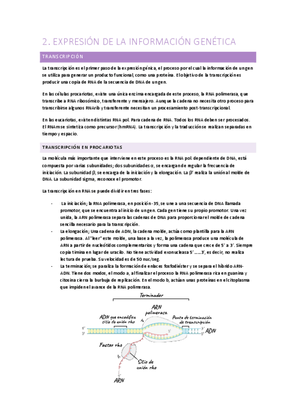 Miniatura del documento Biologia-1oCCAA-Tema-2.pdf
