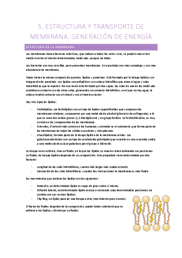 Miniatura del documento Biologia-1oCCAA-Tema-5.pdf