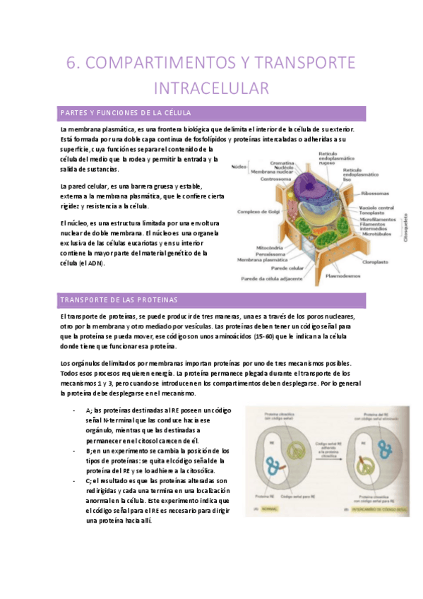 Miniatura del documento Biologia-1oCCAA-Tema-6.pdf