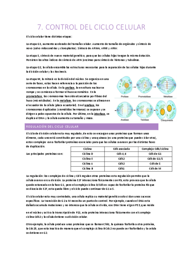 Miniatura del documento Biologia-1oCCAA-Tema-7.pdf