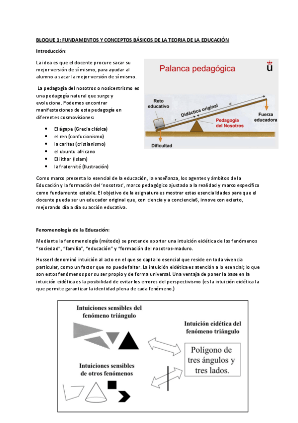 Miniatura del documento introduccion.pdf