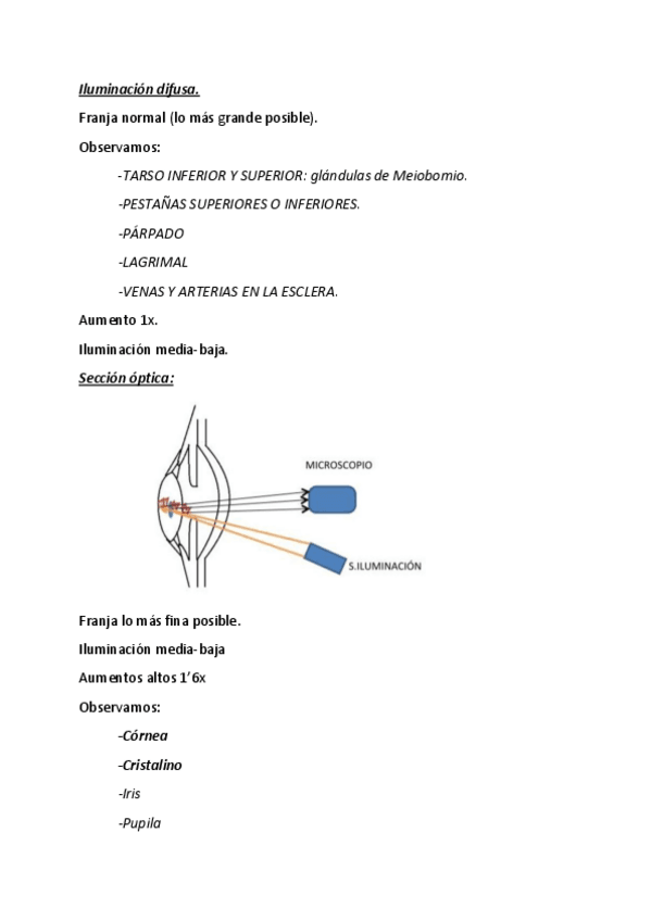Miniatura del documento practica-biomicroscopio-2.pdf