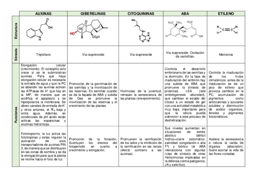 Miniatura del documento CUADRO-HORMONAS-VEGETALES.pdf
