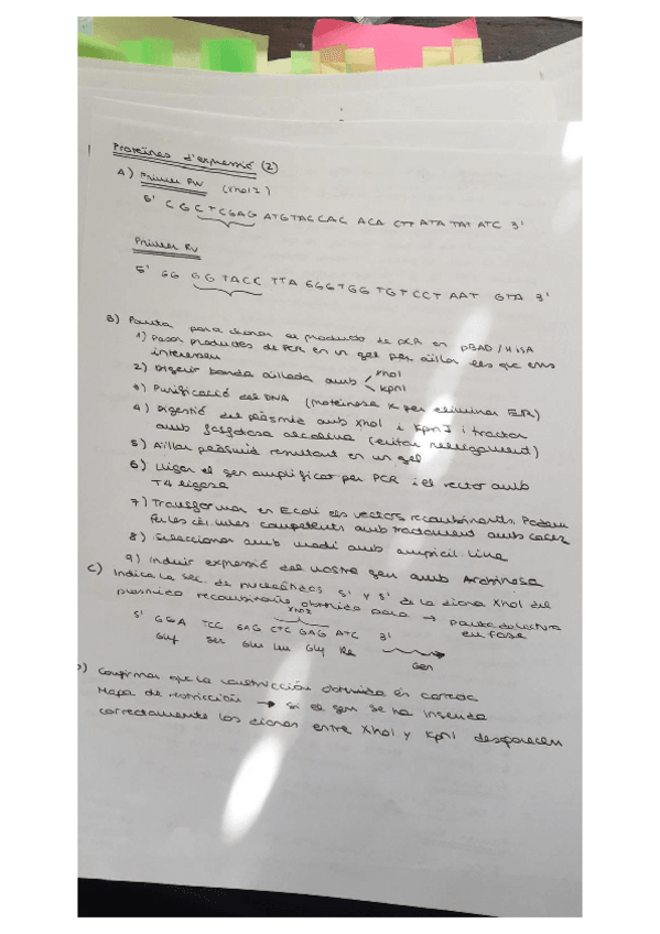 Miniatura del documento Problemes-Roger-Esteban.pdf