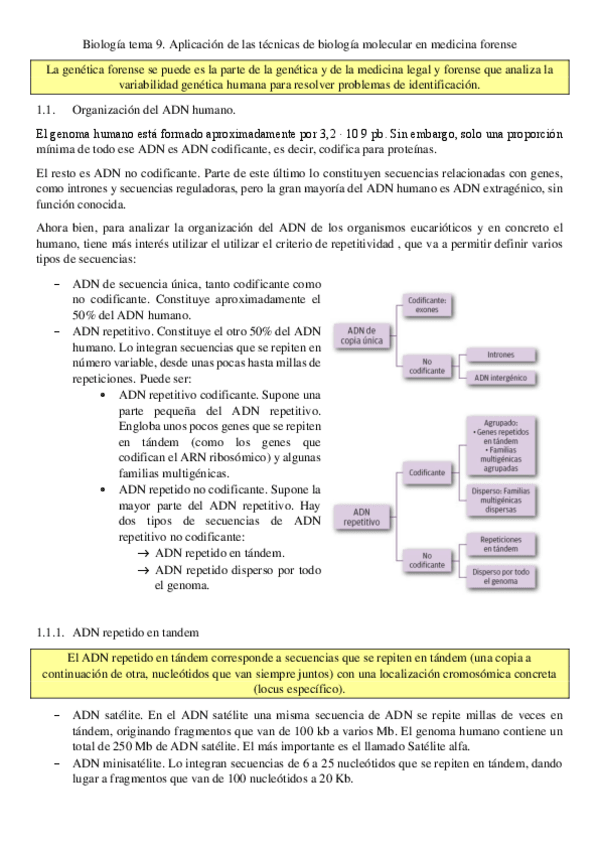 Miniatura del documento Biologia-tema-9.pdf