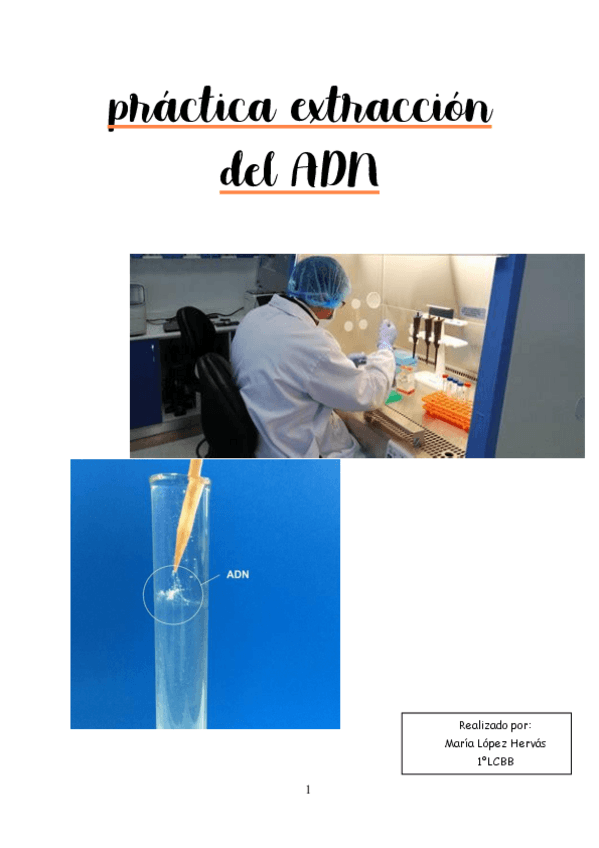 Miniatura del documento Practica-2.pdf