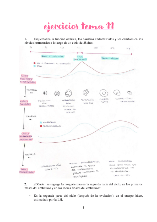 Miniatura del documento Actividades-Tema-11.pdf