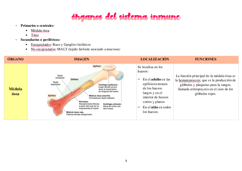 Miniatura del documento tabla-organos-SI.pdf