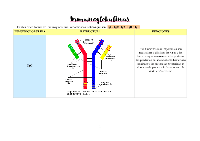 Miniatura del documento Tabla-inmunoglobulinas.pdf