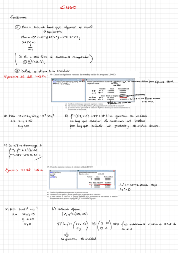 Miniatura del documento lingo-parcial-1-.pdf