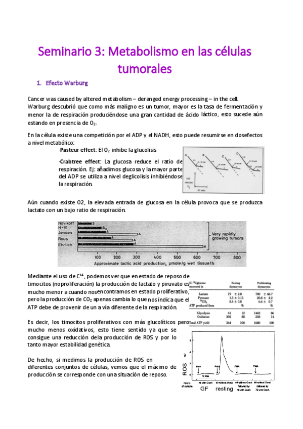 Miniatura del documento Seminario-3.pdf