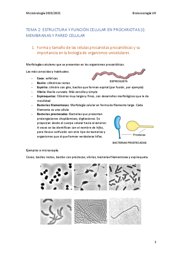 Miniatura del documento MB-Tema-2.pdf