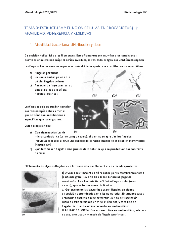 Miniatura del documento MB-Tema-3.pdf