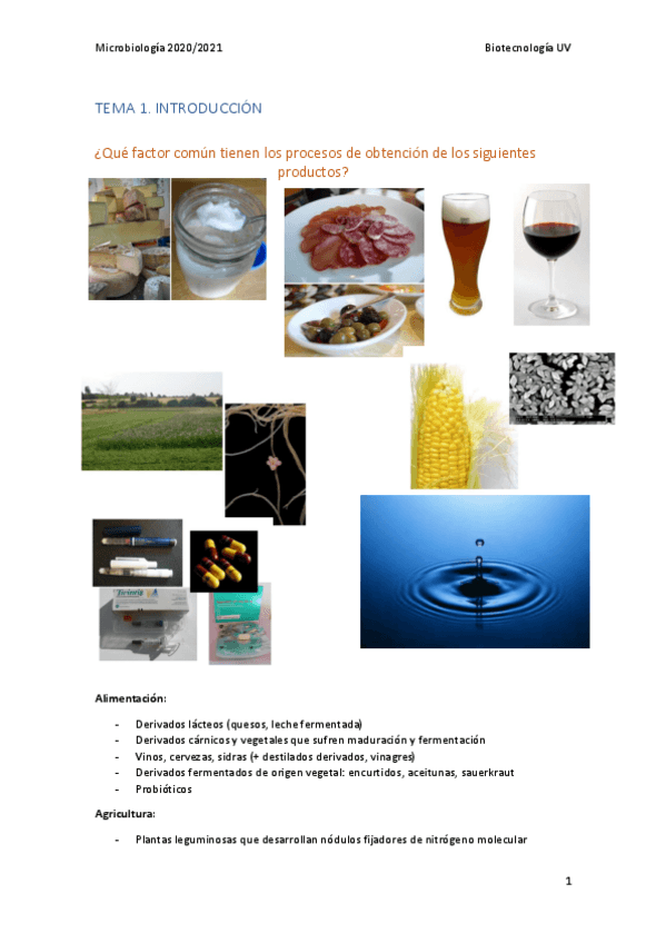 Miniatura del documento MB-Tema-1.pdf