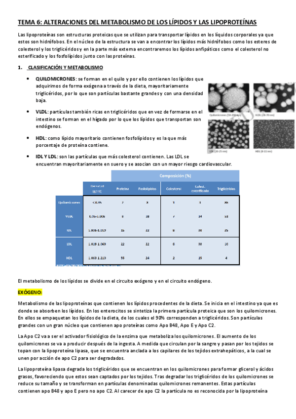 Miniatura del documento TEMA-6.pdf
