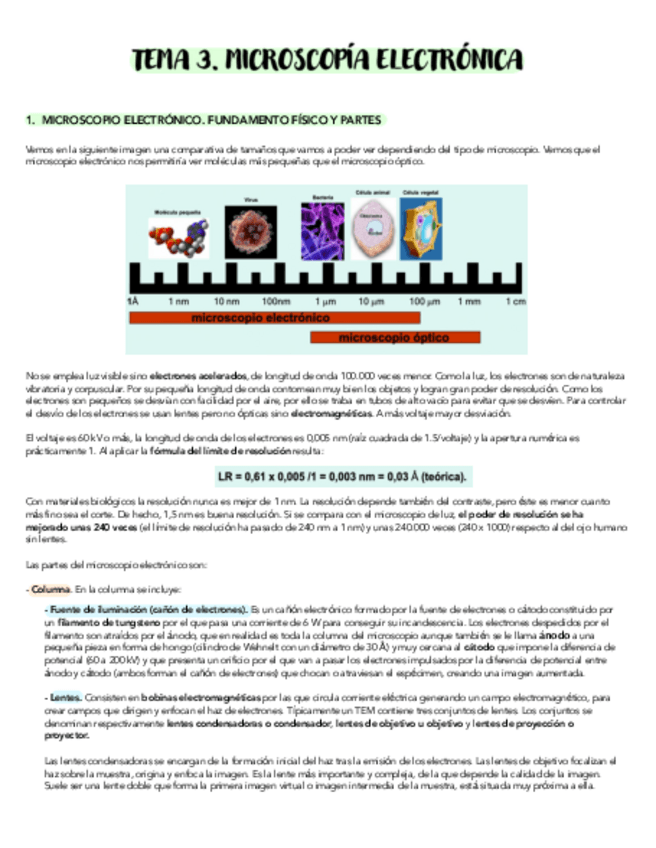 Miniatura del documento TEMA-3-MICROSCOPIO-ELECTRONICO.pdf