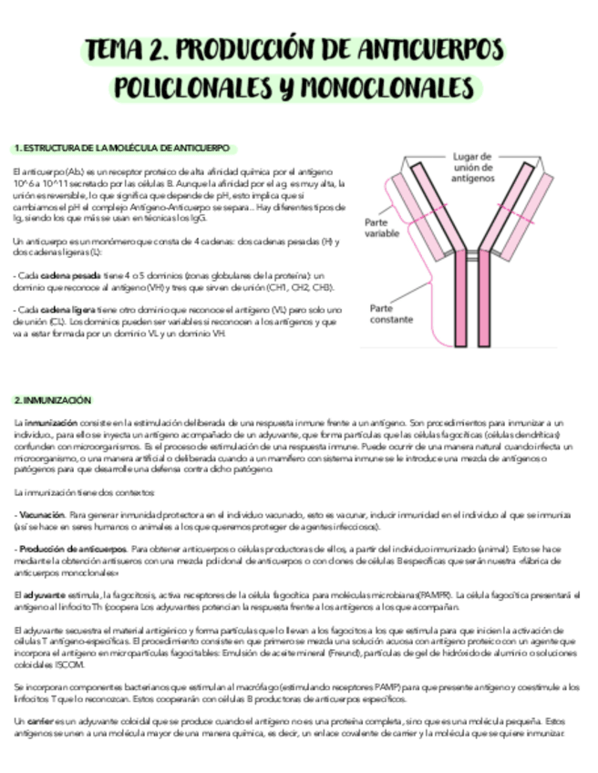Miniatura del documento TEMA-2-PRODUCCION-DE-ANTICUERPOS-POLICLONALES-Y-MONOCLONALES.pdf