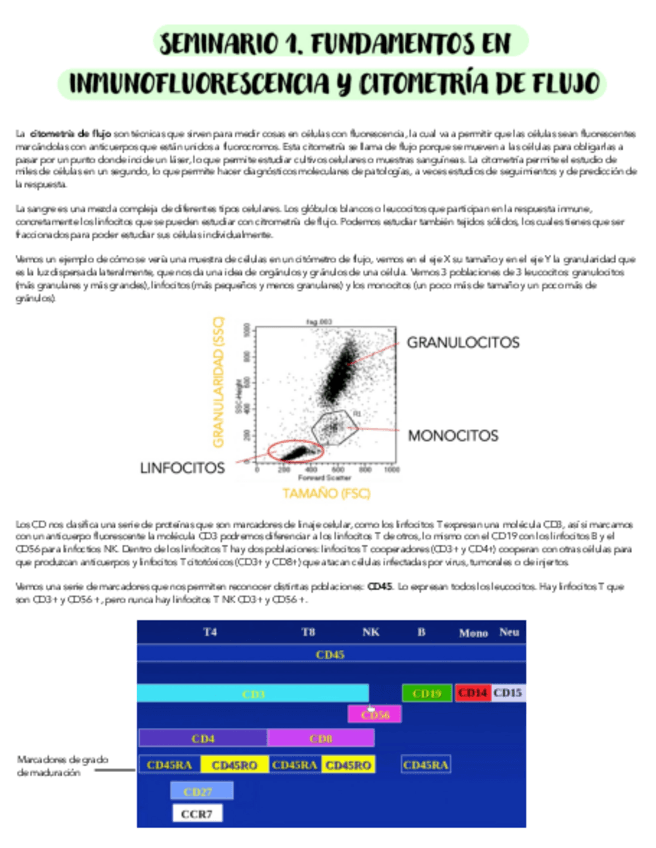 Miniatura del documento SEMINARIO-1-FUNDAMENTOS-EN-INMUNOFLUORESCENCIA-Y-CITOMETRIA-DE-FLUJO.pdf