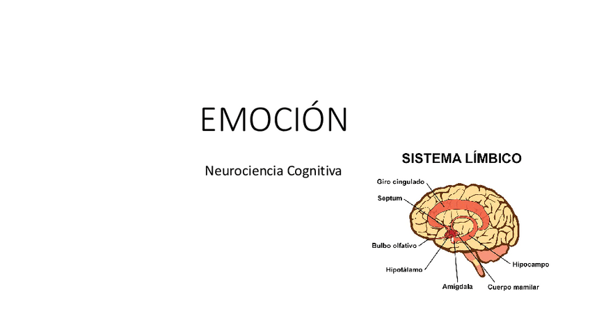Miniatura del documento Tema-5.pdf