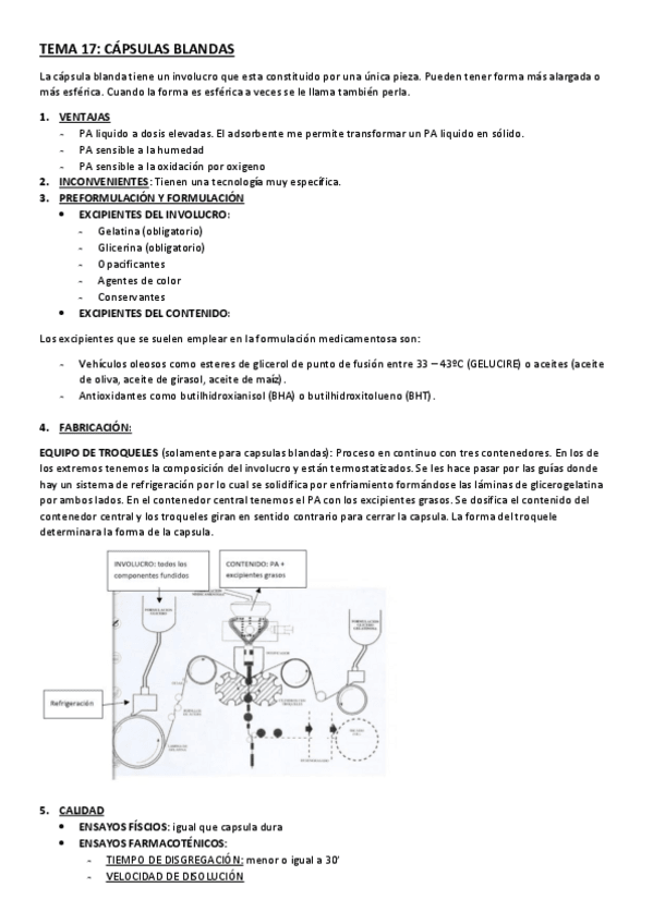 Miniatura del documento TEMA-17.pdf