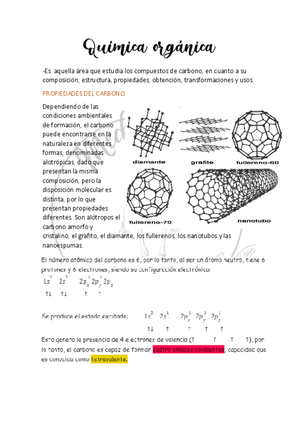Miniatura del documento Quimica-organica.pdf