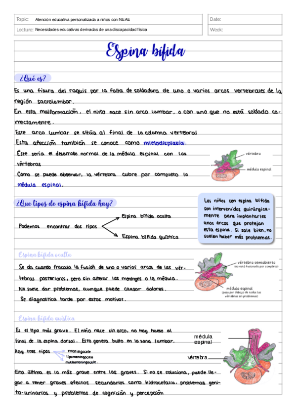 Miniatura del documento Espina-bifida.pdf